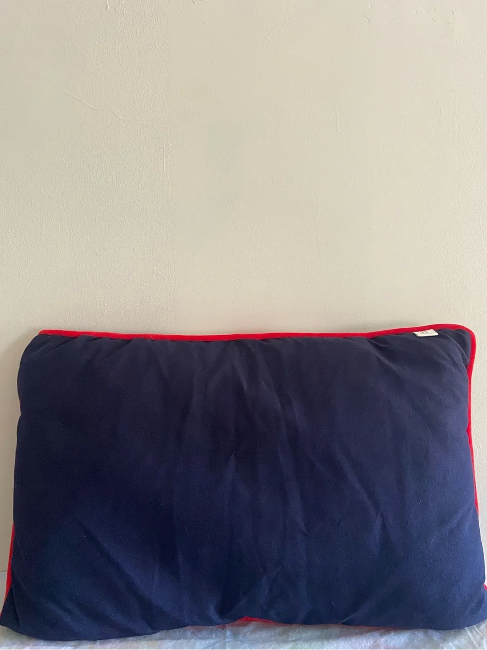Ellen Degeneres LOVE Dog Pillow